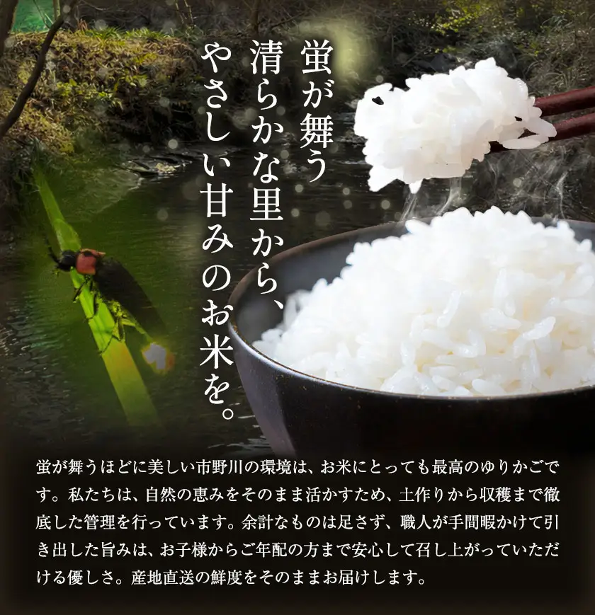 令和7年産 いちの川 コシヒカリ 白米 3kg 市野川米製作所 