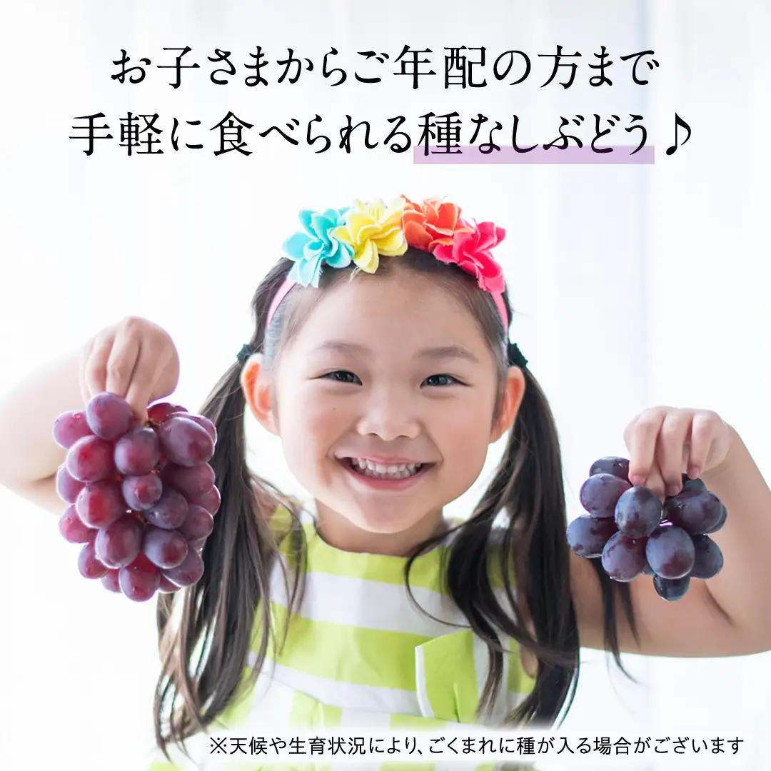 シャインマスカットとピオーネ（種なし）約1.5kg（計2～3房）ご家庭用 (桜川市・石岡市共通返礼品) [FB019sa]