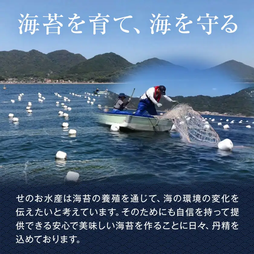 海苔の詰め合わせ 海苔 せのお水産