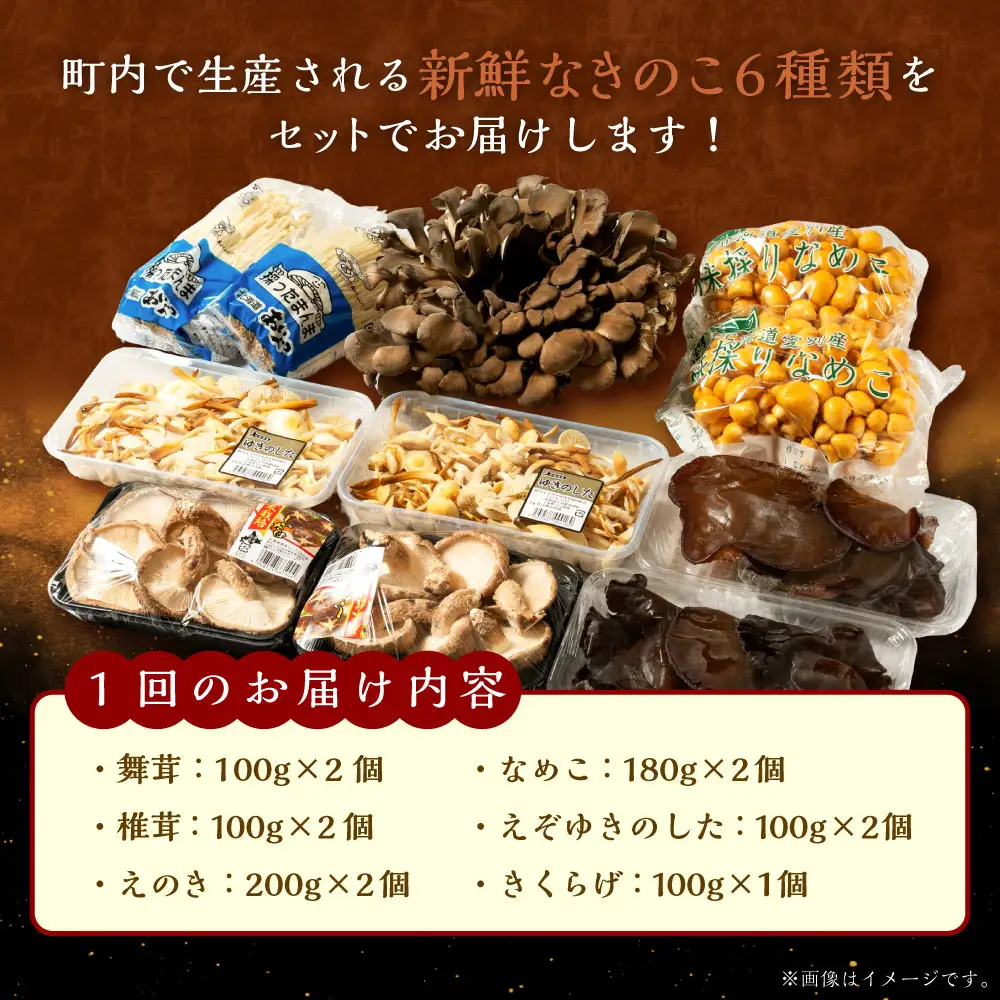 【 12ヶ月定期便 】 きのこ詰合せ ( まいたけ、 椎茸、 えのき茸、 なめこ、 えぞゆきのした、 きくらげ ) ６種類セット 【 小 】 約1.5kg きのこ キノコ 茸 新鮮 詰め合わせ セット 食べ比べ 国産 北海道産 茸料理 定期 定期配送