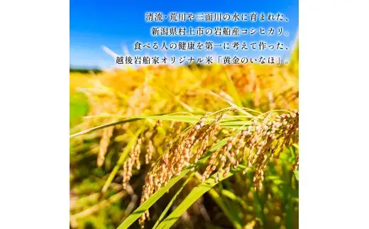 【新米受付・令和8年産米】【定期便】自然豊かな風土が育んだ新潟県村上市岩船産コシヒカリ50kg（5kg×10ヶ月）1017003N