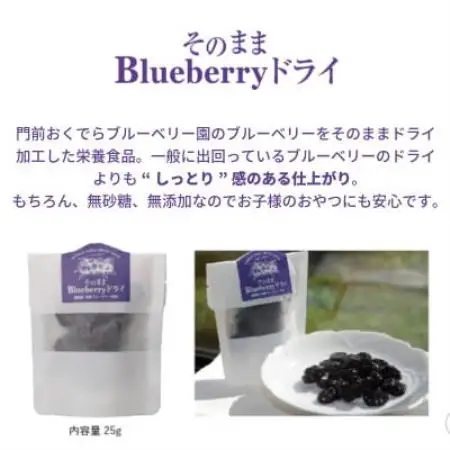 【贈答用】ブルーベリー ギフト 2種 詰め合わせセット 岩手県遠野市 門前おくでらブルーベリー園【1755562】