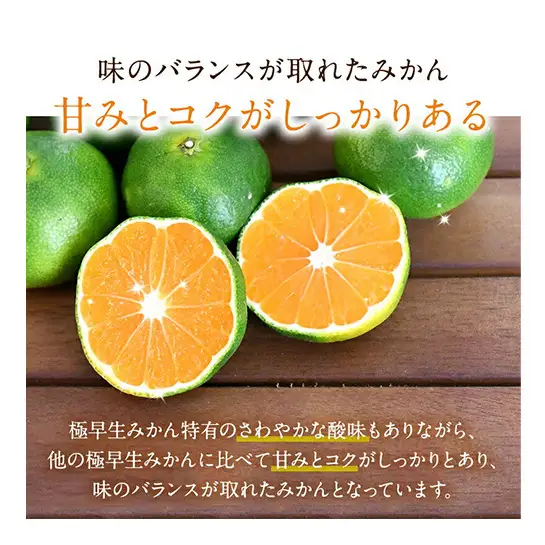 JAとぴあ浜松 極早生 ゆらみかん 約4kg (約40～50個) とぴあ みかん ゆら早生みかん ごくわせ 美味しい 静岡 浜松市