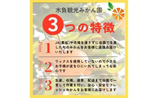 早生 みかん 5kg 【贈答用】 みかん 静岡 沼津