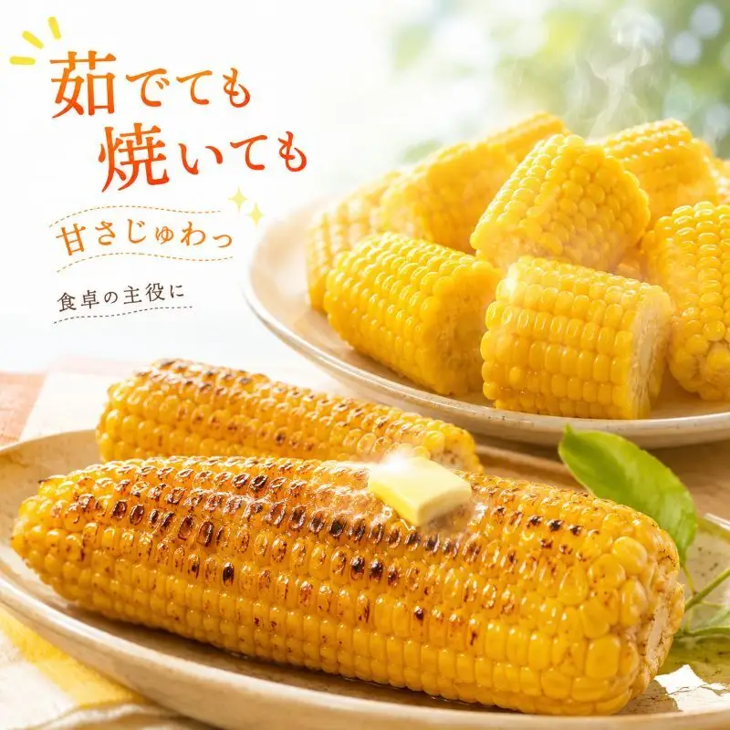 とうもろこし サニーショコラライラ 約5kg (10本前後) 冷蔵便 朝採り スイートコーン トウモロコシ 産直 産地直送
