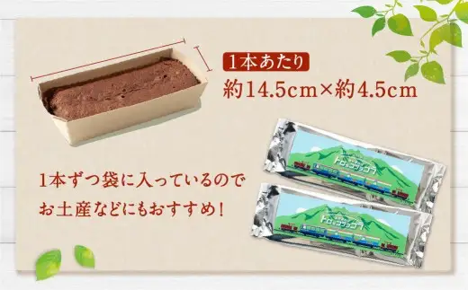 南阿蘇鉄道 トロッコショコラ 6本（約145g×6本）【2026年10月発送】菓子 お菓子 焼き菓子 チョコ風味 ショコラ ガトーショコラ 個包装 小分け