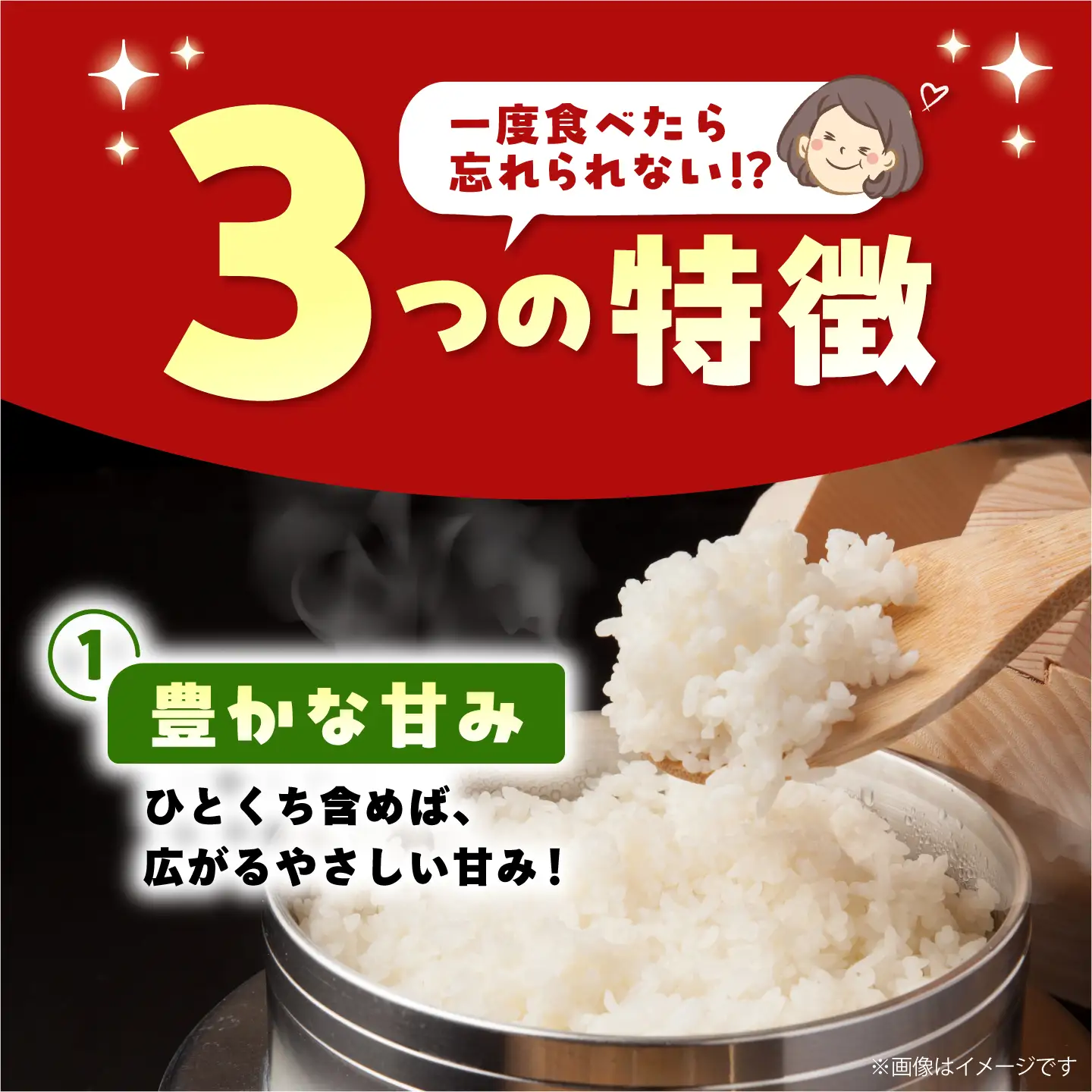 【先行予約】 令和8年産 夢しずく 精米 5kg 【佐賀県江北町産】 米 白米[HAF033]