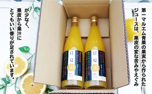 第一マルエムの甘夏ストレートジュース 720ml×2本 愛媛県 愛南町