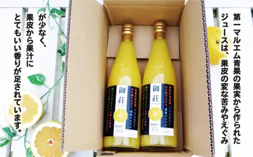 第一マルエムの御荘ゴールド(河内晩柑)ストレートジュース 720ml×2本 愛媛県 愛南町