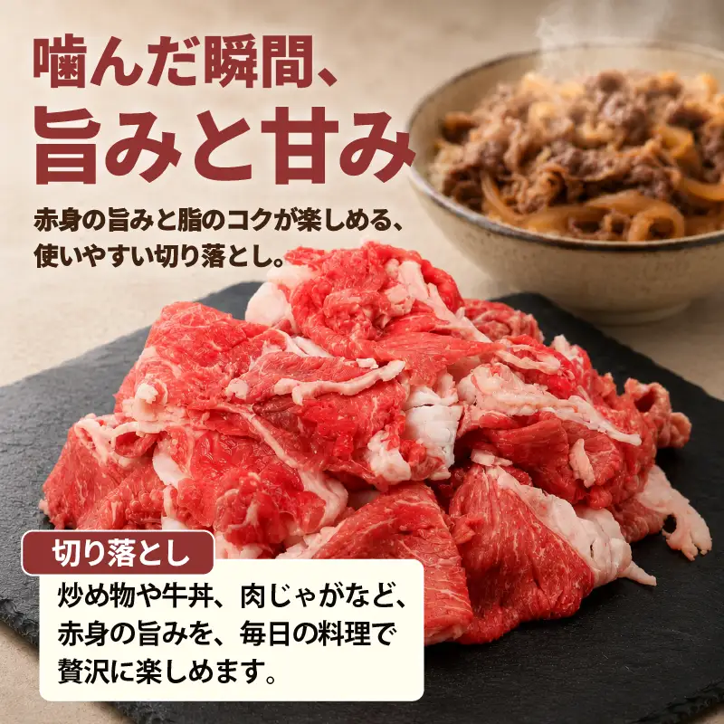 土佐あかうし 切り落とし 500g | 赤牛 あか牛 希少 ギフト 冷凍 贈答 高知県 南国市