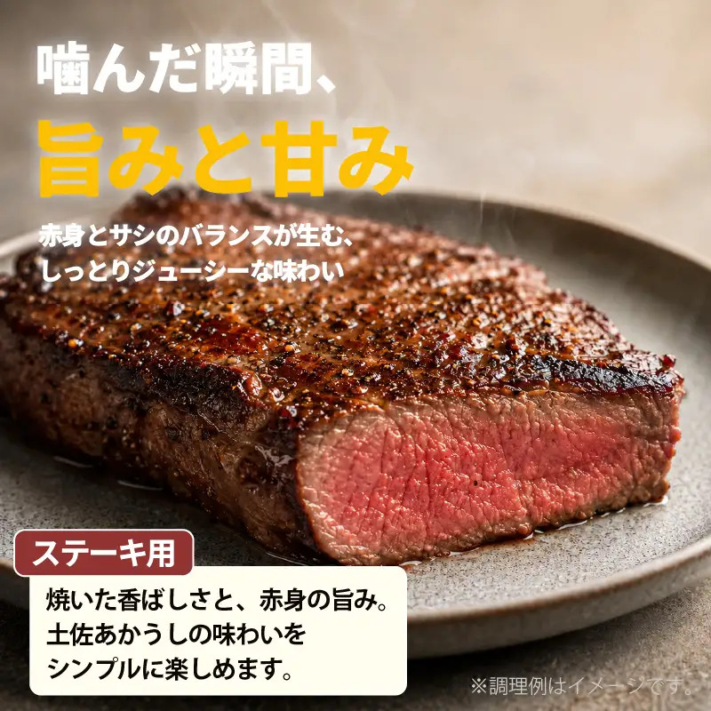 土佐あかうし ロース ステーキ 2種食べ比べ Bセット 計400g | 赤牛 あか牛 希少 ギフト 冷凍 贈答 高知県 南国市