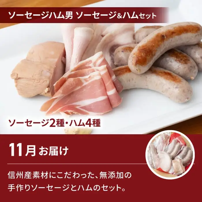 【2回定期便】高評価！シャインマスカットと無添加ソーセージ&ハムセットの定期便（シャインマスカット2房・ソーセージ2種、ハム4種）｜【JA信州うえだ／自家製ソーセージハム男】ぶどう 葡萄 大粒 果物 フルーツ 頒布会 長野