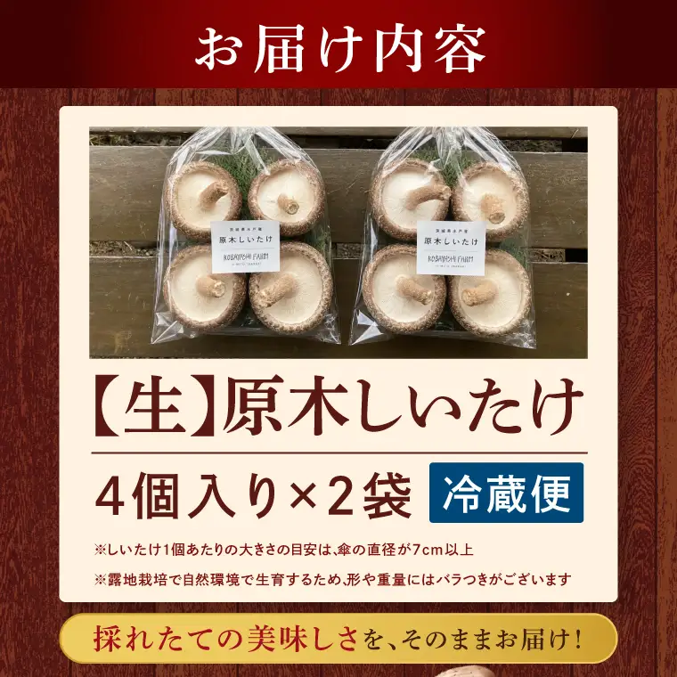 【10月下旬～3月下旬発送】茨城県水戸産 ジャンボ原木しいたけ 4個×2袋【生しいたけ 椎茸 シイタケ きのこ キノコ にく丸 希少 栄養豊富 水戸市 茨城県】（OD-1）