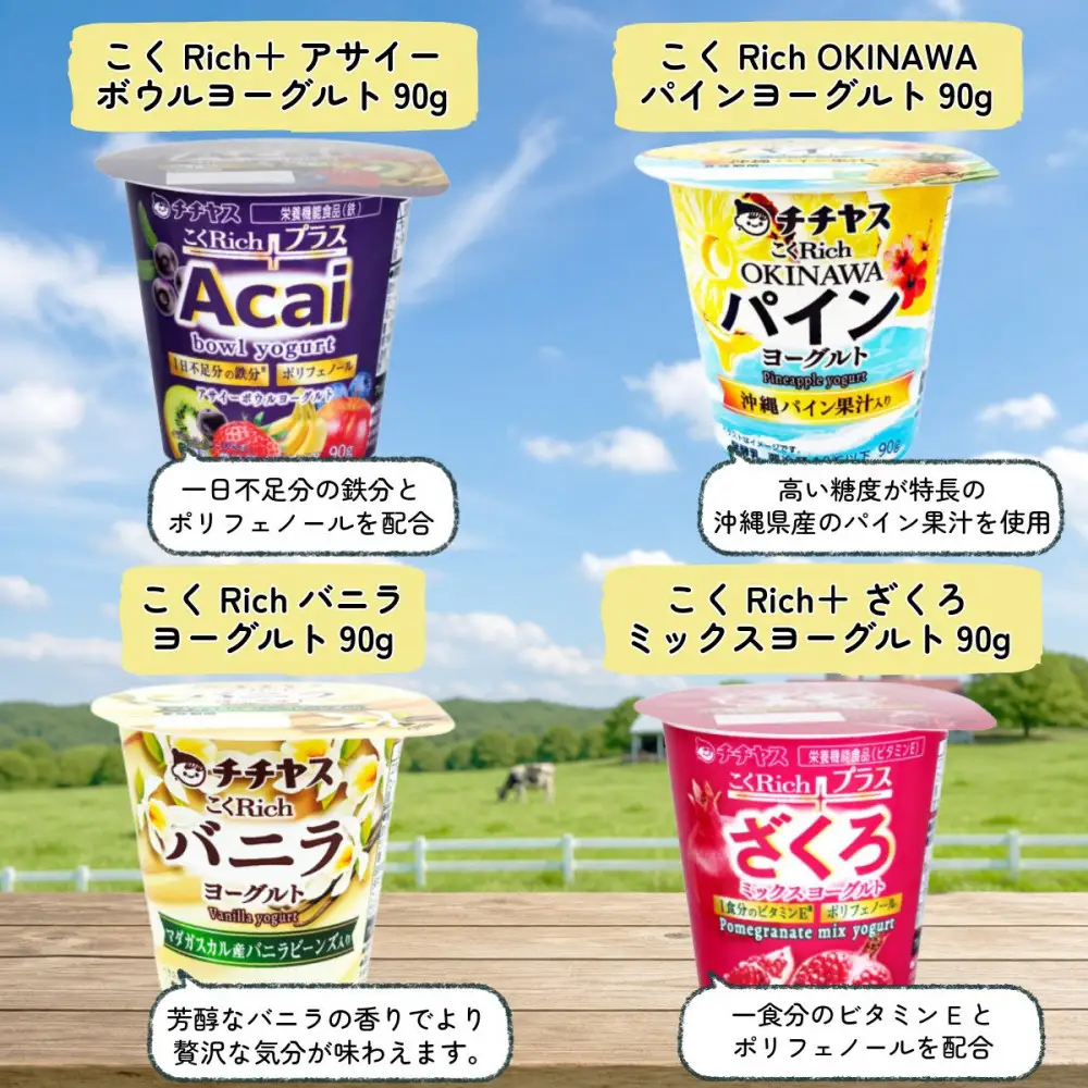 チチヤス ヨーグルト＆牛乳 10種プレミアムセット E