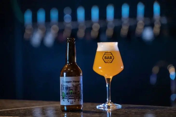 BEER AGAIN BREWING クラフトビールバラエティー 3本セット | 飲み比べ 詰め合わせ お楽しみ ビール お酒