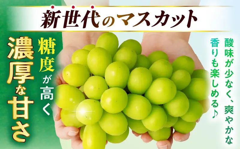 【8月31日（夏休み）までの期間限定価格!!】ご家庭用　シャインマスカット　約1.9kg | シャインマスカット マスカット ぶどう ブドウ 葡萄 果物 フルーツ 期間限定 新鮮 くだもの 国産 ギフト お裾分け 旬 人気 種なし 皮ごと食べられる ジューシー 糖度が高い 先行受付 先行予約 季節限定 おすすめ 旬の果物 香川 香川県 三木町 訳あり ご家庭用 |_mk006-129