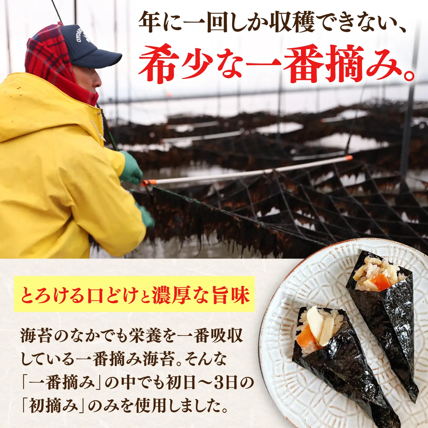 【全3回定期便】佐賀海苔 一流浜 一番摘み「無選別品」4切15枚×3袋（計9袋） / 海苔 のり 定期便 / 佐賀県 / 佐賀海苔一流浜 [41AABJ009]
