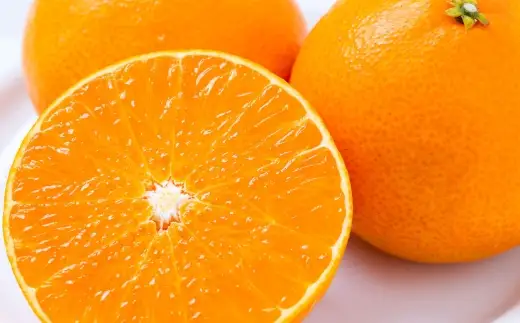 【 果汁あふれる至福の一玉 】 まどんな （ 紅まどんなと同品種 ） 約2kg みかん ミカン 柑橘 柑橘系 柑橘類 くだもの 果物 フルーツ 果実 果汁 果肉 国産 愛媛県産 薄皮 【 2026年11月下旬-2027年1月下旬発送予定 】 ( 1110 )