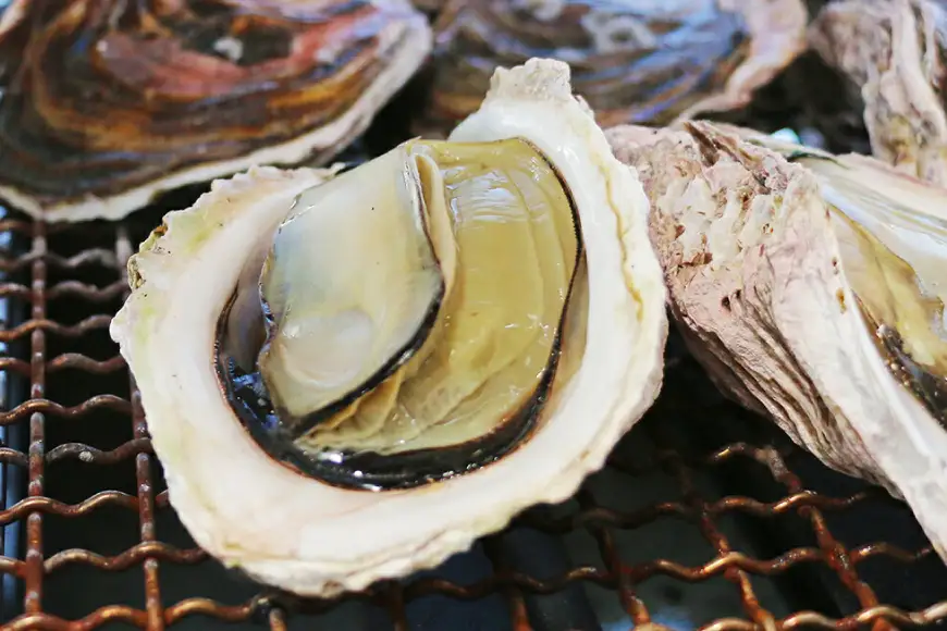 【期間限定発送】牡蠣 岩牡蠣 殻付き 細島 岩ガキ 約 2kg