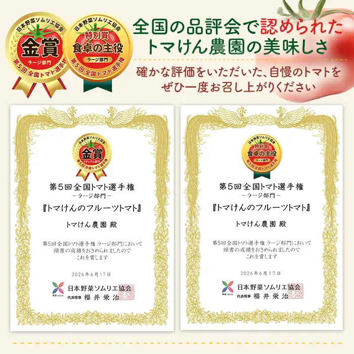 ＼全国トマト選手権 金賞＆特別賞受賞 ／＜先行予約受付中！2027年2～5月の間に発送予定＞トマけんのフルーツトマト 高糖度 トマト フルーツトマト サラダ 野菜 旬野菜 冷蔵 門川町産 宮崎県 門川町 【TK-01】【トマけん農園】
