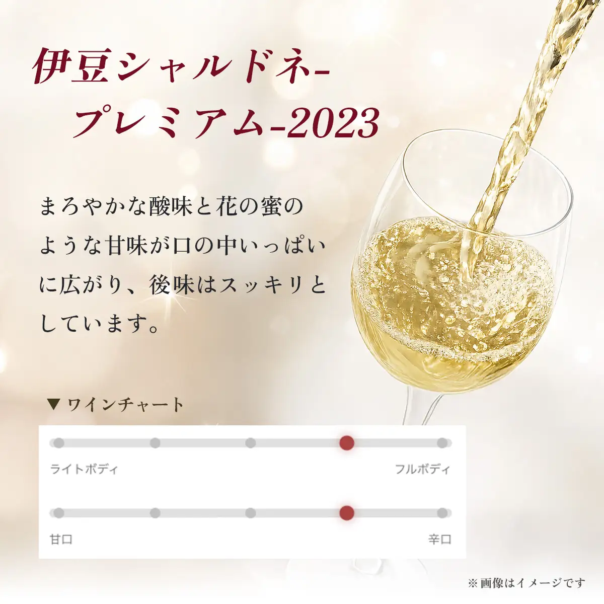 【日本ワインコンクール2025 銅賞】伊豆シャルドネ-プレミアム-2023（化粧箱入り）1本 750ml | ワイン 白ワイン Wine わいん ギフト 贈答 静岡 伊豆  | 023-005