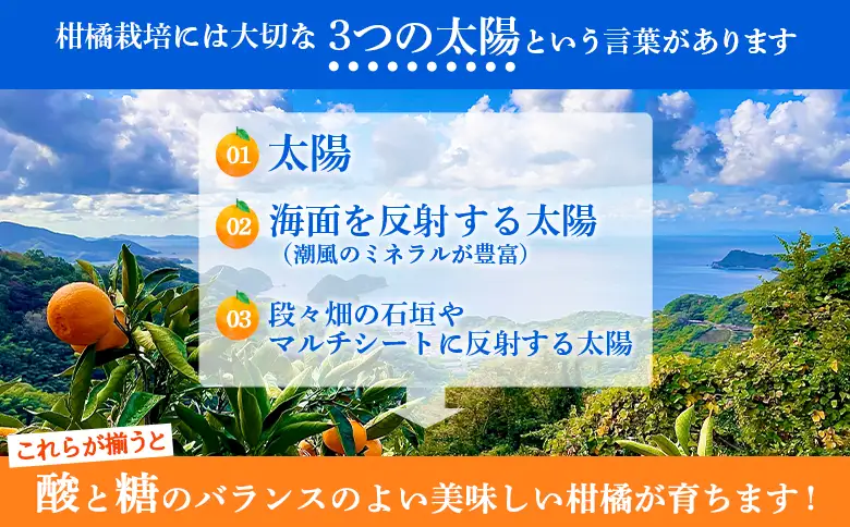 ＜TSUGUMI 温州みかんジュース 180ml＆TSUGUMI 清見ジュース 180ml 詰め合わせ＞『1か月以内に順次出荷予定』清見 温州みかん 各3本 柑橘 みかん ミカン オレンジ 新鮮 ジュース ソフトドリンク 飲んで応援 特産品 ひさしげ農園 愛媛県 西予市【常温】MHS0030