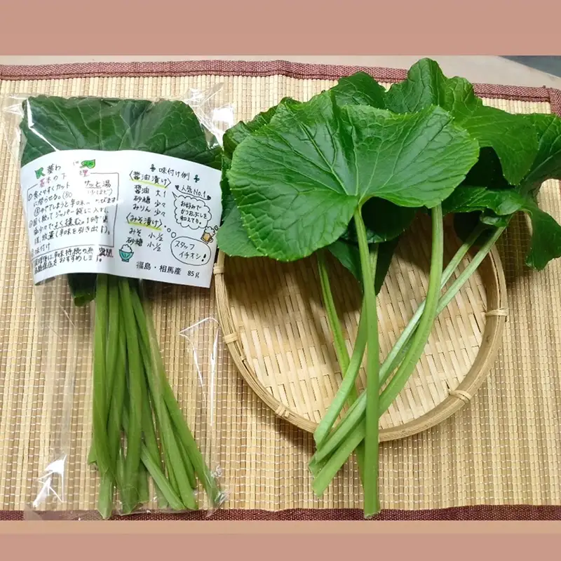 旬の相馬 相馬わさびセット 大セット約650g 　  薬味 野菜 食品 FAI-0035