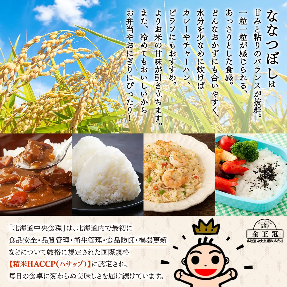 令和7年産 JAるもい 無洗米 ななつぼし 5kg 特A 白米【35004】