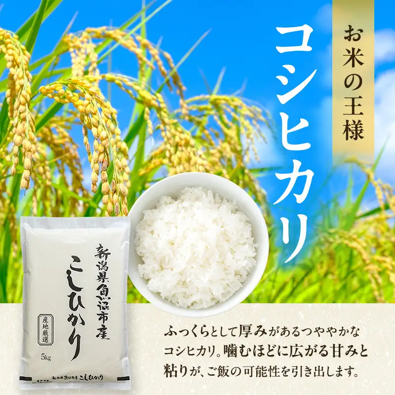 先行予約 令和8年産 農産物検査員お奨め 魚沼産こしひかり（精米）5kg お米 コシヒカリ