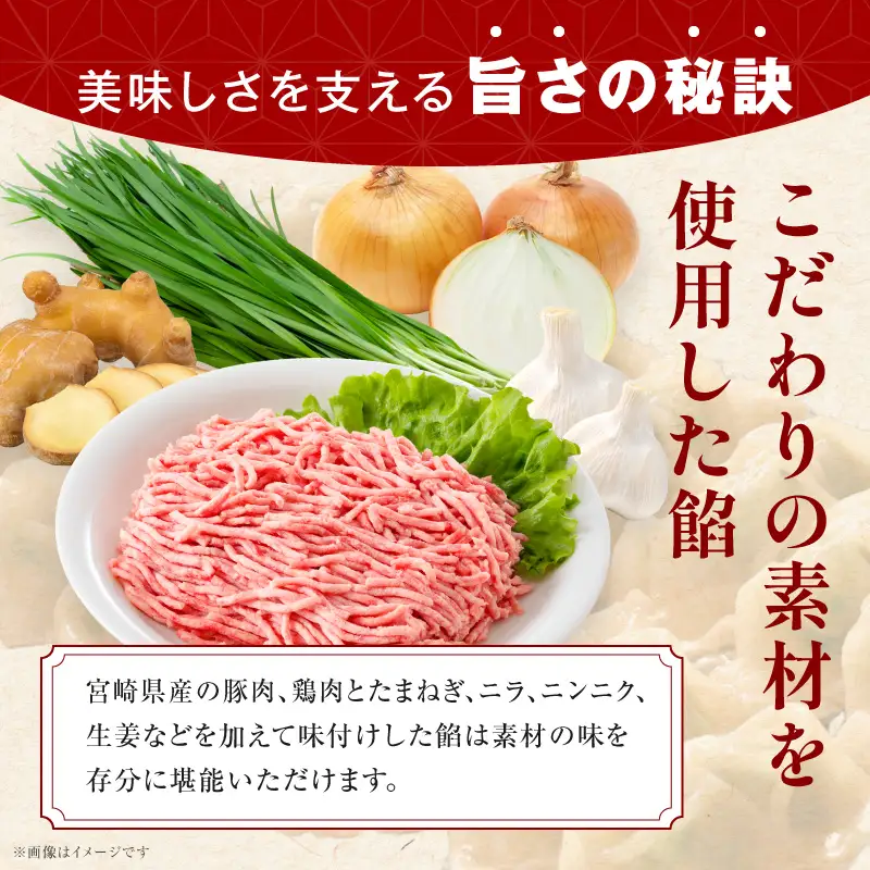 【4回定期便】一口餃子 100 個入りタレ２個（3か月に1回お届け）_kn107-t005