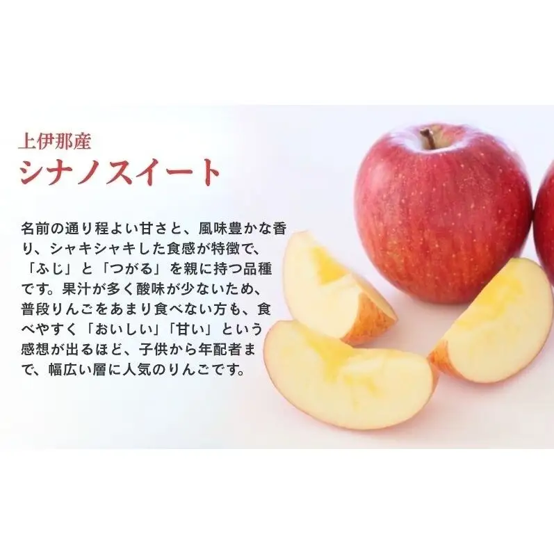 訳あり りんご 長野 リンゴ シナノスイート 約3kg （12玉） 産地直送  フルーツ 果物 デザート おやつ 林檎 旬 信州 長野県 長野県産 駒ヶ根市 上伊那産