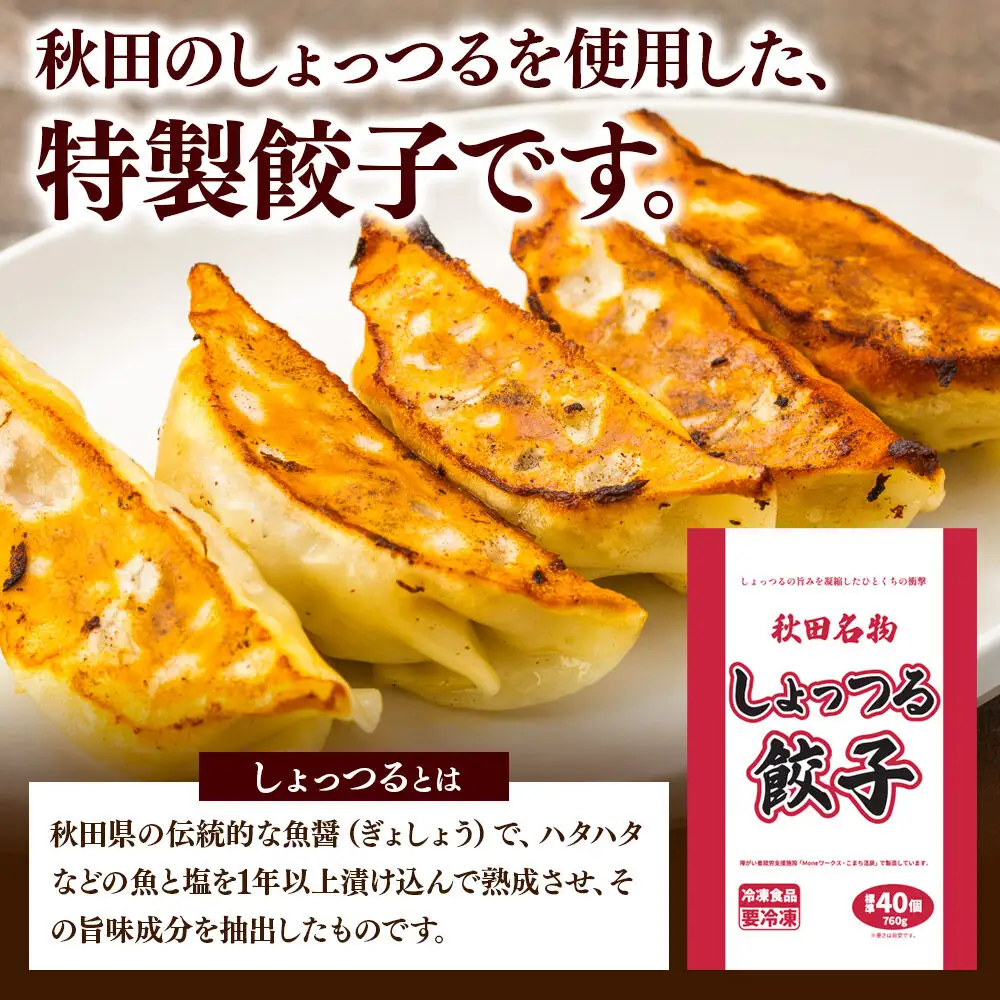 秋田名物 しょっつる餃子 40個入×4袋 秋田のしょっつるを使用 秋田県 秋田市 冷凍発送 生ぎょうざ