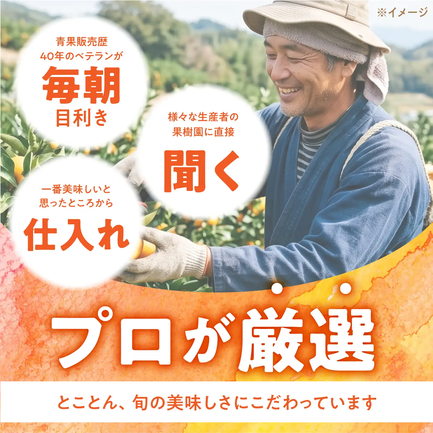 【7回コース】果物屋が選ぶ旬のフルーツ定期便 いちご メロン びわ みかん 梨 柿 など / 南島原市 / 贅沢宝庫[SDZ059]