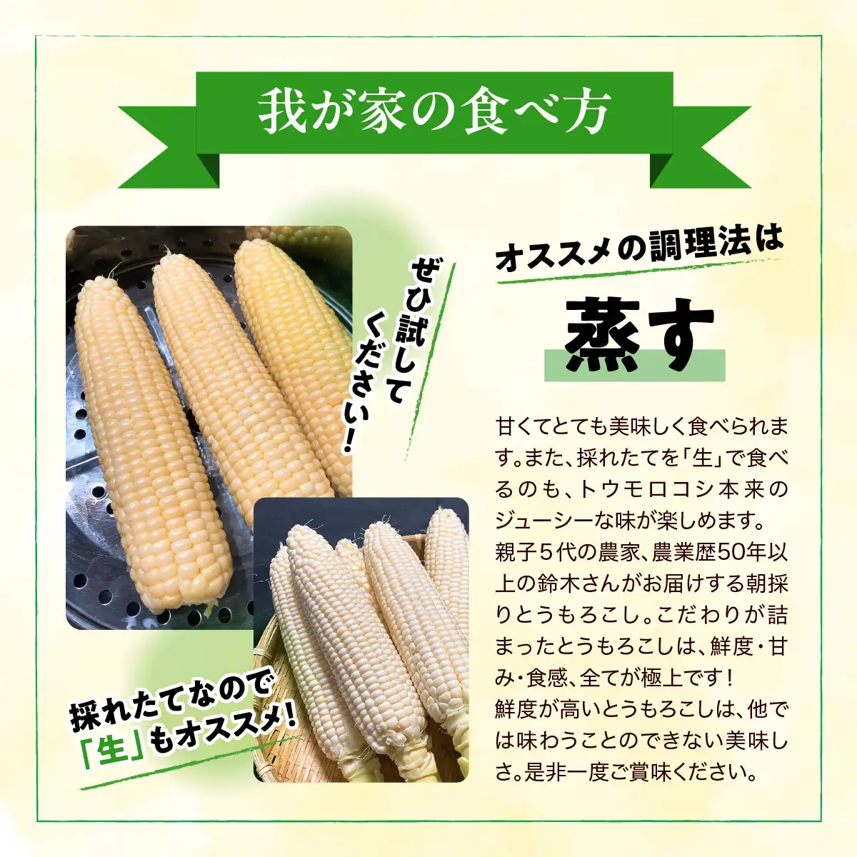 【先行予約・2027年６月下旬～発送】千葉県山武市産　ホワイトトウモロコシ　２Lサイズ12本入り 約５㎏   SMDB001