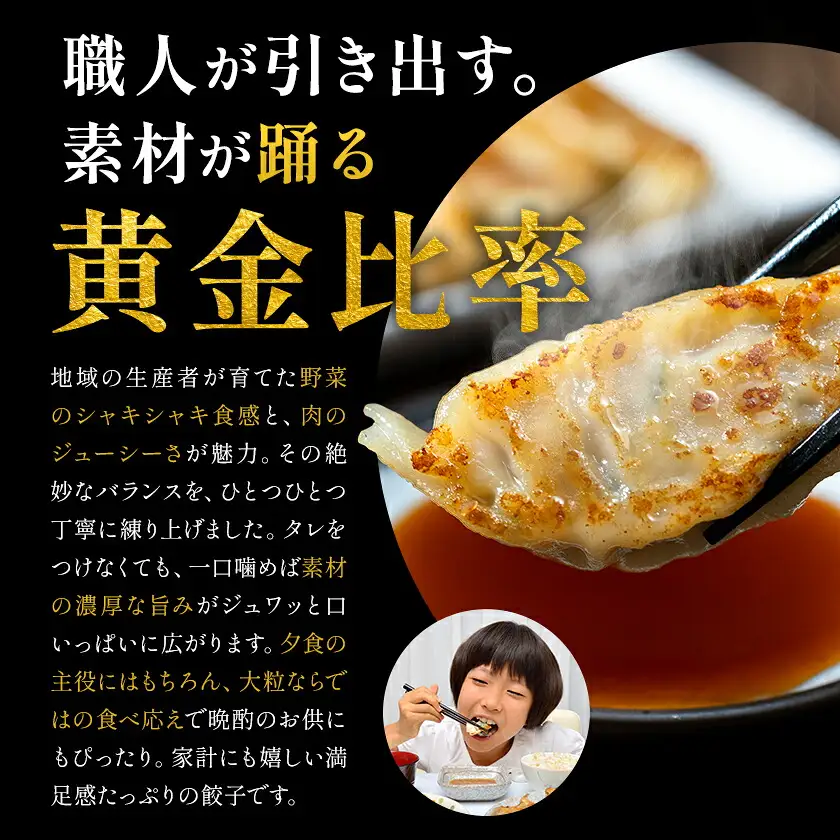 天草れいほく餃子 12個入×3パック 計312g Ethical foods TATSUMI