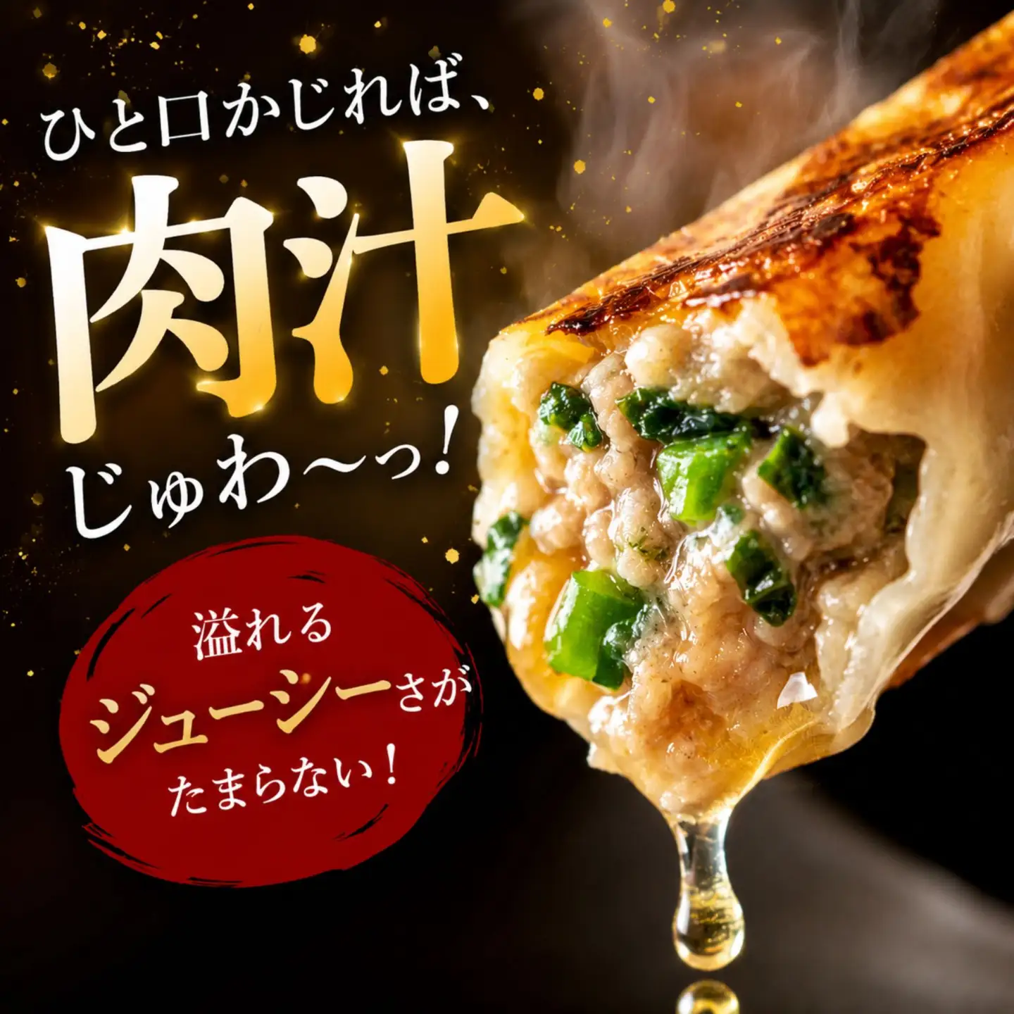 【定期便6回】たじまや オリジナル ビッグ 餃子 200個