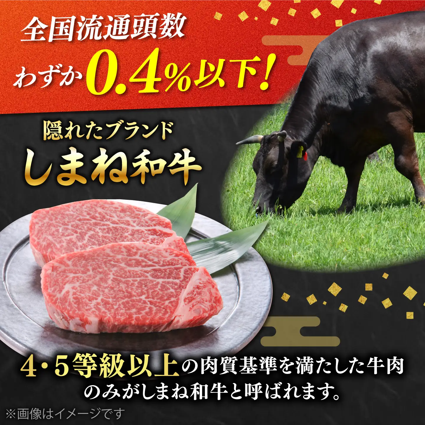 しまね和牛 サーロインステーキ 2枚 さーろいん ステーキ 牛肉 国産[AIDQ006]