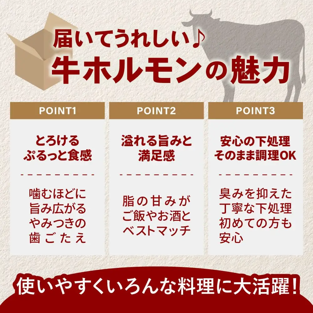 牛ホルモン (味付け無し／シマチョウ) 1kg (500g×2パック)【a163-045】