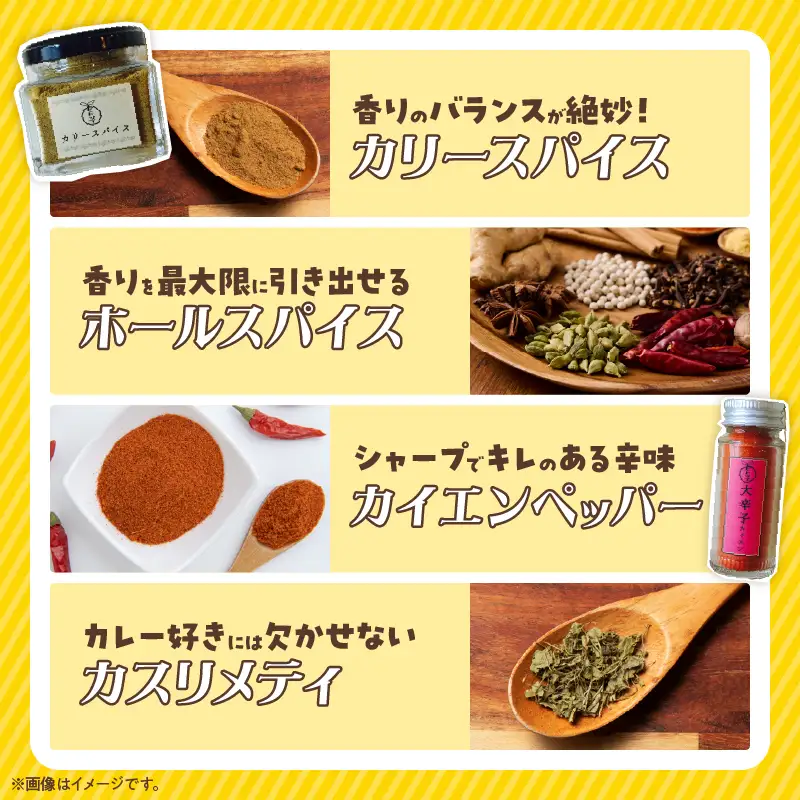 ヒトツブ特製!! カリー 手作り セット カレー スパイス 調味料 香辛料 本格 カレーライス _BC142-26