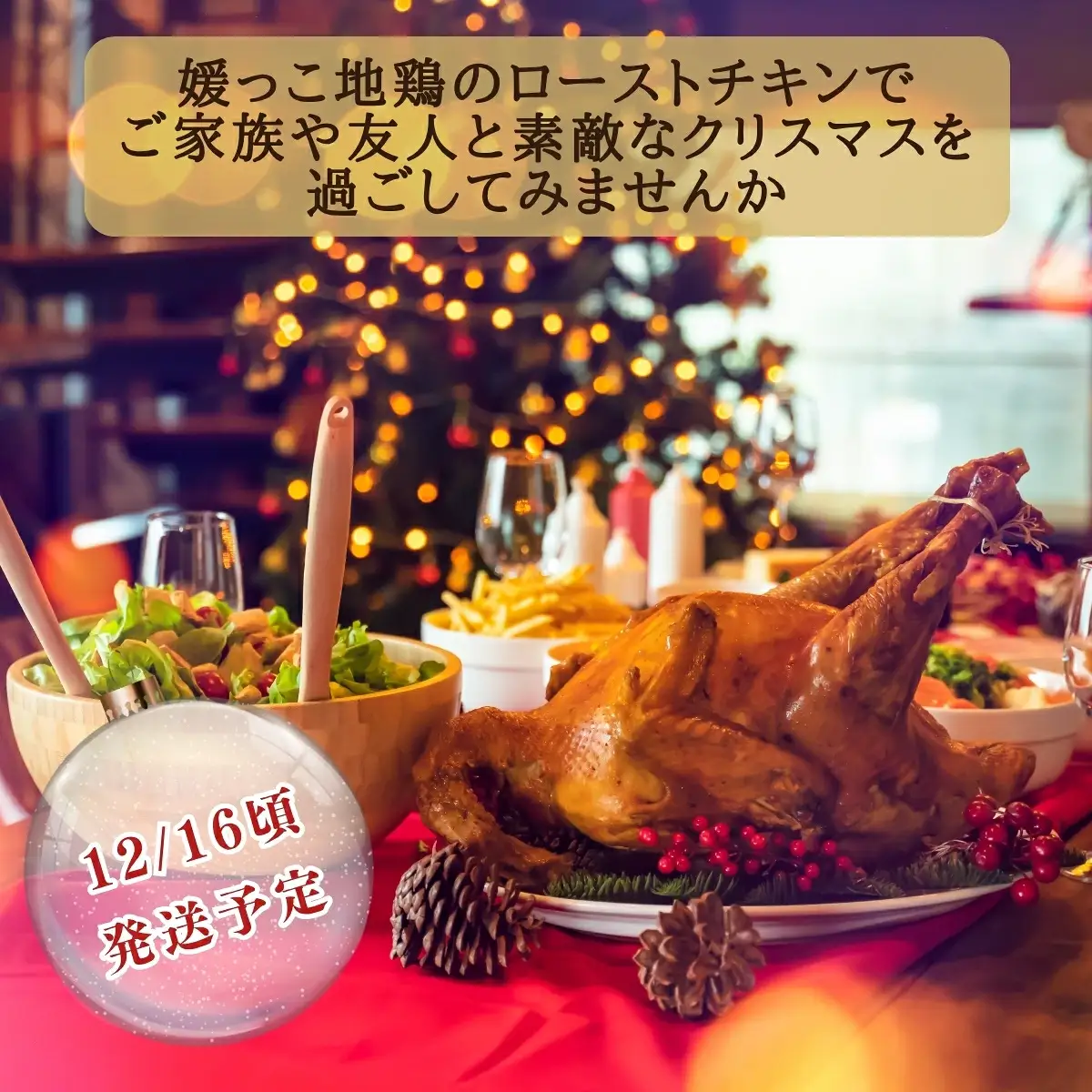 【 2026年 クリスマス 先行予約 】 本数 が 選べる 媛っこ地鶏 骨付きもも肉 ( 4本 )  1本 あたり 700g ~ 800g 地鶏 媛っこ地鶏  鶏肉 鳥肉 肉 チキン もも肉 クリスマス 愛媛県 愛南町 ローカルスタンダード
