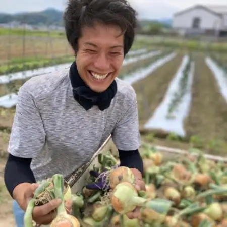 【期間限定】 玉ねぎ 約5kg　京都与謝野町のこだわり栽培たまねぎ　【AGRIST】【1754648】