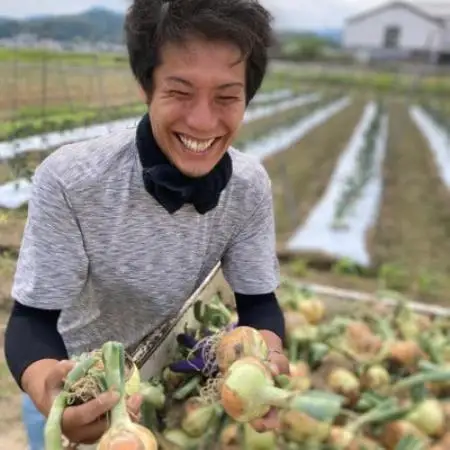 【期間限定】 玉ねぎ 約10kg　京都与謝野町のこだわり栽培たまねぎ　【AGRIST】【1754650】