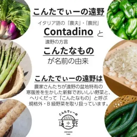 アスパラガス 500g こんたでぃーの遠野【配送不可地域：離島】【1511899】