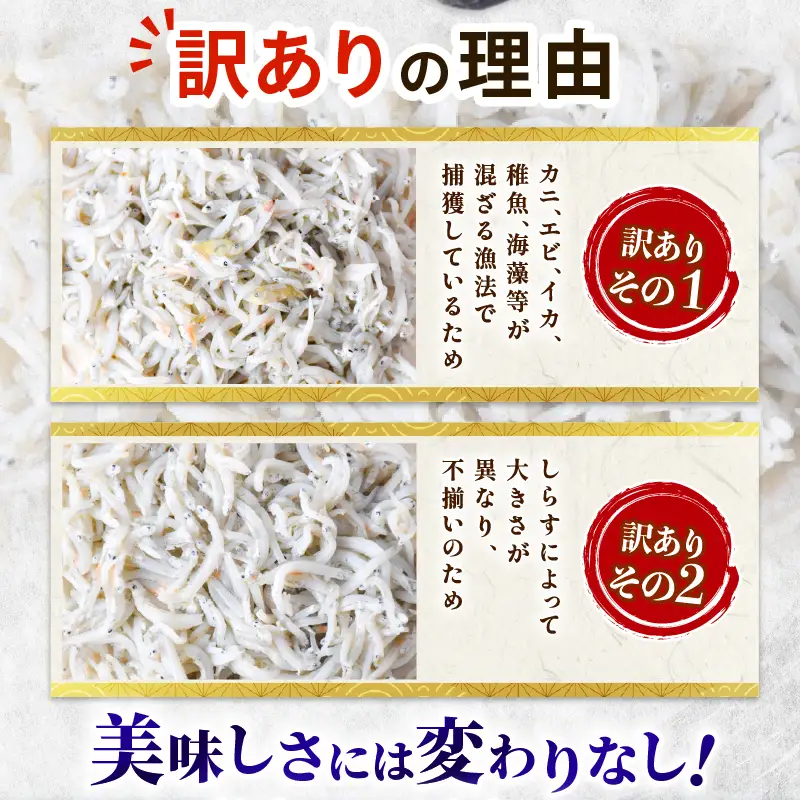 訳あり 釜揚げしらす 約1.7kg 【しらす】