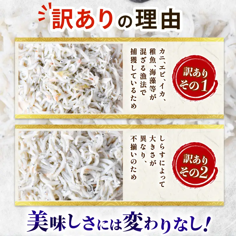 【2回定期便】 しらす 訳あり 計 1.56kg【しらす】