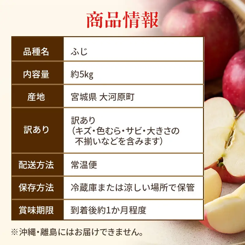 りんご ふじ 訳あり 5kg 果物 フルーツ わけあり 不揃い 規格外 ご家庭用 宮城県 大河原町 産地直送 林檎 リンゴ くだもの 先行予約 送料無料