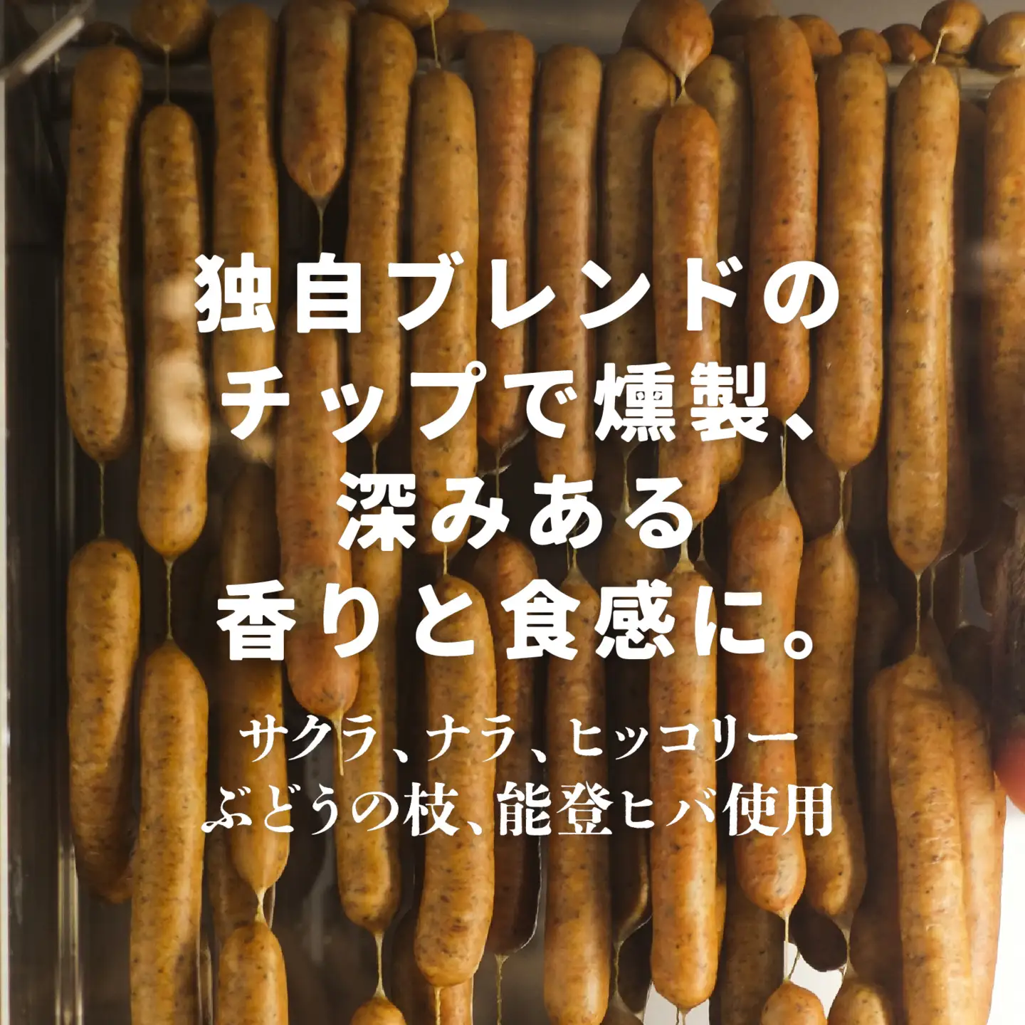 奥能登穴水産牡蠣のチーズ入り燻製ソーセージ 2パック（計4本）