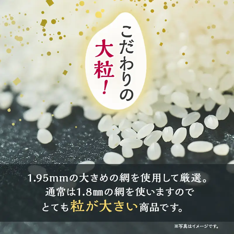 【先行予約】【12ヶ月定期便】令和8年産 無洗米 大粒 あきたこまち 秋田県産 杜の雫 無洗米【3kg】