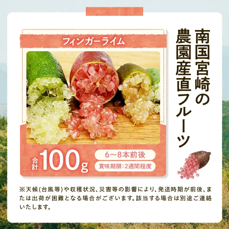 フルーツ フィンガーライム フルーツ [産地直送 柑橘 数量限定]