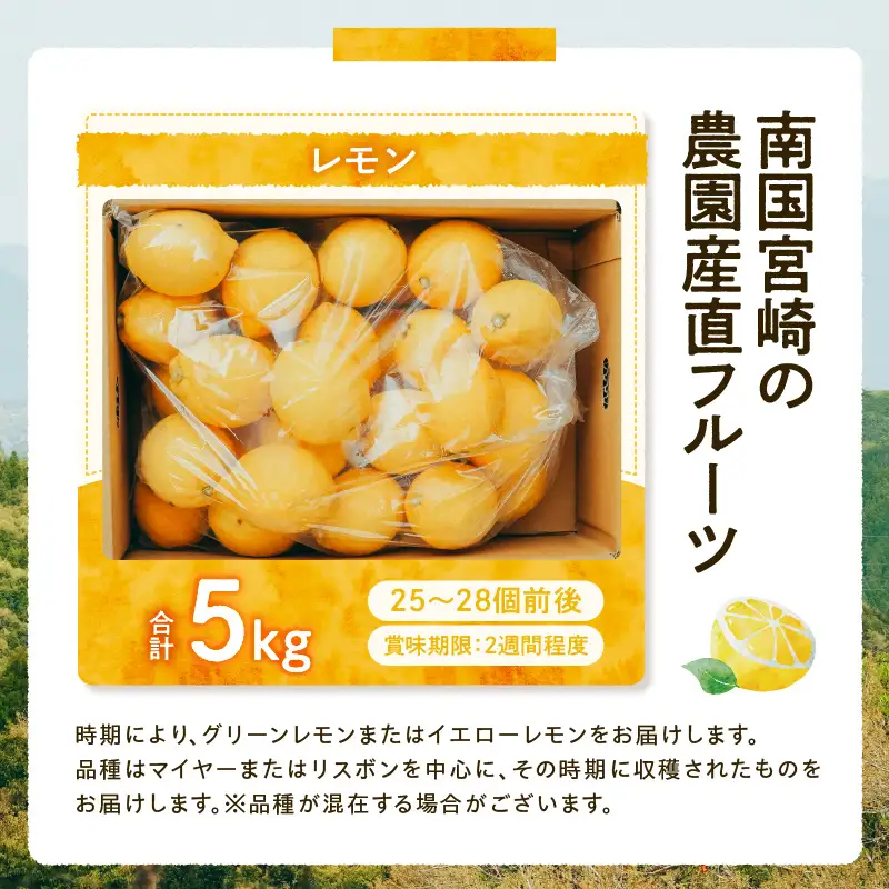 フルーツ レモン フルーツ [産地直送 数量限定 柑橘]